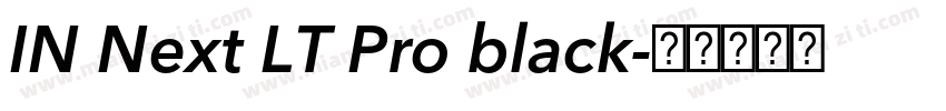 IN Next LT Pro black字体转换